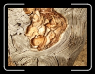 1.Mai-Ausflug 044 * 2848 x 2136 * (3.14MB)